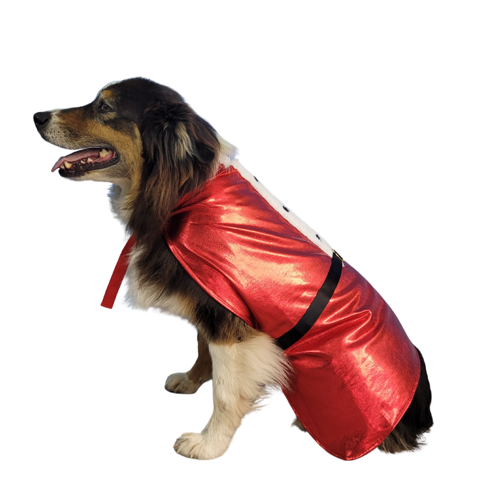 Capa Navideña Para Perros y Gatos