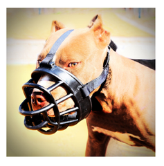 Bozal Extra-Fuerte En Silicona