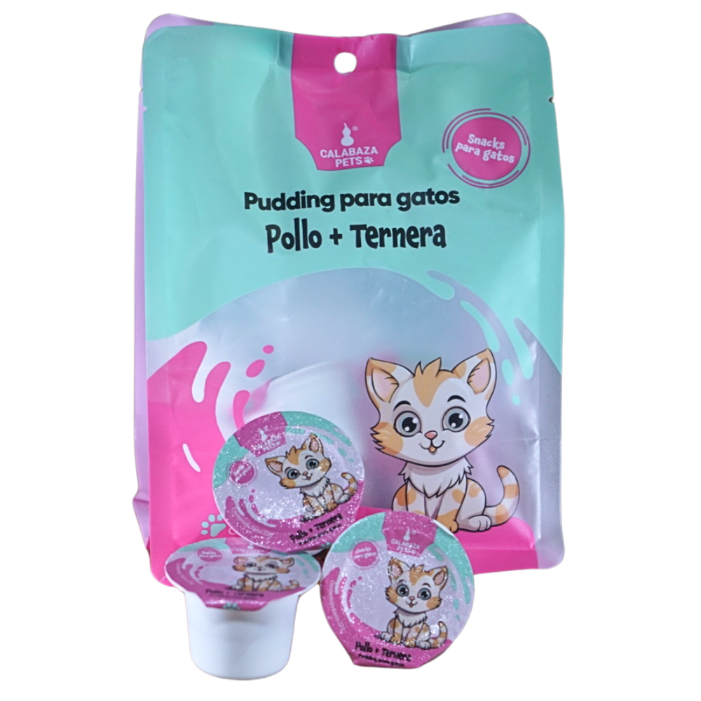 Kit Uno Para Gatos 10 Pudding + Ratón a Control Remoto