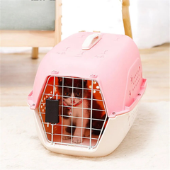 Guacal Duro de Viaje Mascotas