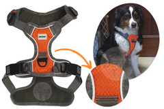 Arnes Pechera Premium Colores