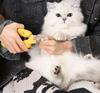 Image of Corta Uñas para Mascotas