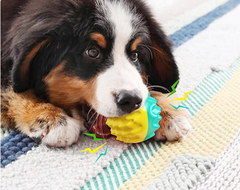 Pelota Interactiva Para Mascotas Alta Resistencia