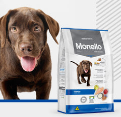 MONELLO DOG CACHORROS