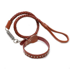 Correa y Collar En Cuero Legitimo