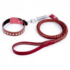 Correa y Collar En Cuero Legitimo