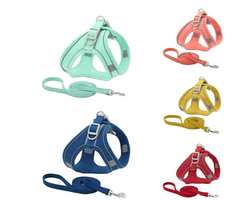 Arnés Nobuck Con Correa Imitación Cuero