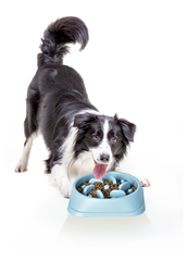 Comeder Antirreflujo