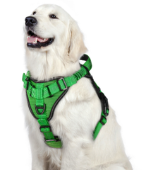 Arnés Pechera Con Absorción De Impacto Talla S