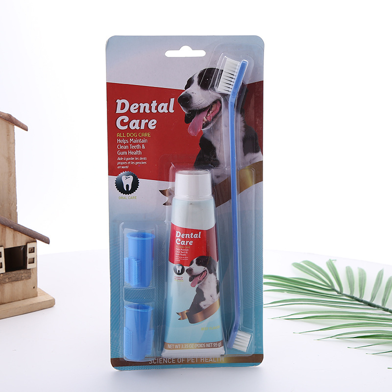 KIT ASEO DENTAL