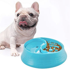 Plato Anti-reflujo Con Antideslizante Para Perros