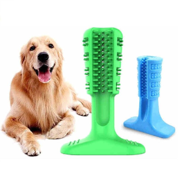 Juguete Molar Para Perros Limpiador De Dientes - Main Image