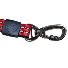 Correa Lazo Premium Perro Reflectiva Mosquetón De Seguridad