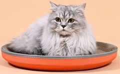 Cama Rascador Para Gato