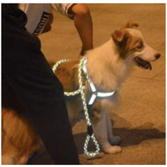 Arnés Y Correa Reflectiva