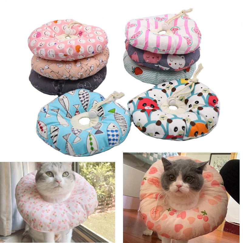 Collar Isabelino o de Recuperación acolchado