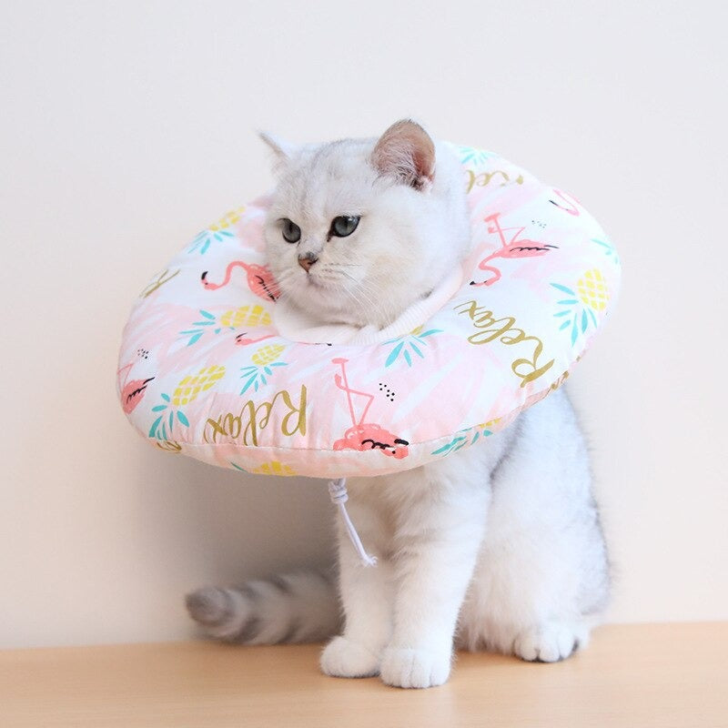 Collar Isabelino o de Recuperación acolchado