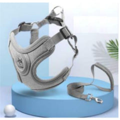 PECHERA Y CORREA PREMIUM