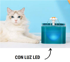 FUENTE COLORS - LUZ LED