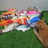 Image of Juguete Para Gato Peluche Pez Pescado con Movimiento Electrónico carga USB