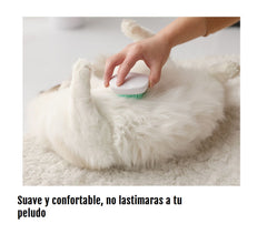 Tapete Recolector de Arena para Gato