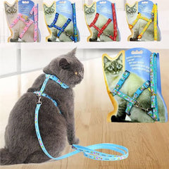ARNES GATO CASCABEL