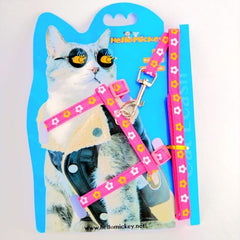 ARNES GATO CASCABEL
