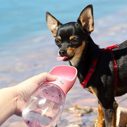 Bebedero Portátil Perro Gato Pet Care Cup 350 Ml