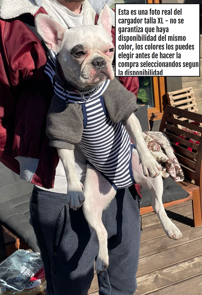 Cargador Maleta Perro Estilo Bebe Canguro Para Moto