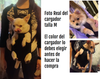 Image of Cargador Maleta Perro Estilo Bebe Canguro Para Moto