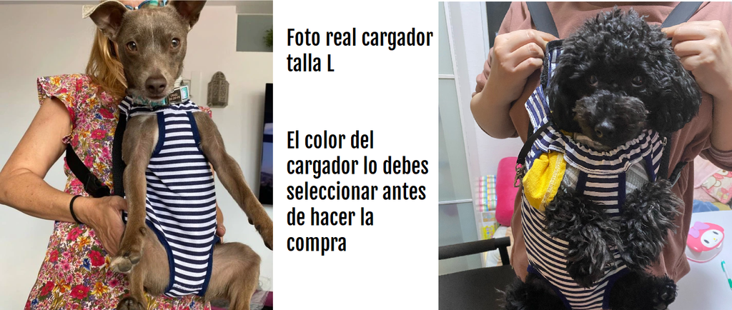 Cargador Maleta Perro Estilo Bebe Canguro Para Moto