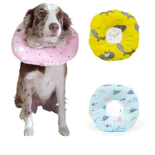 Collar Isabelino o de Recuperación acolchado