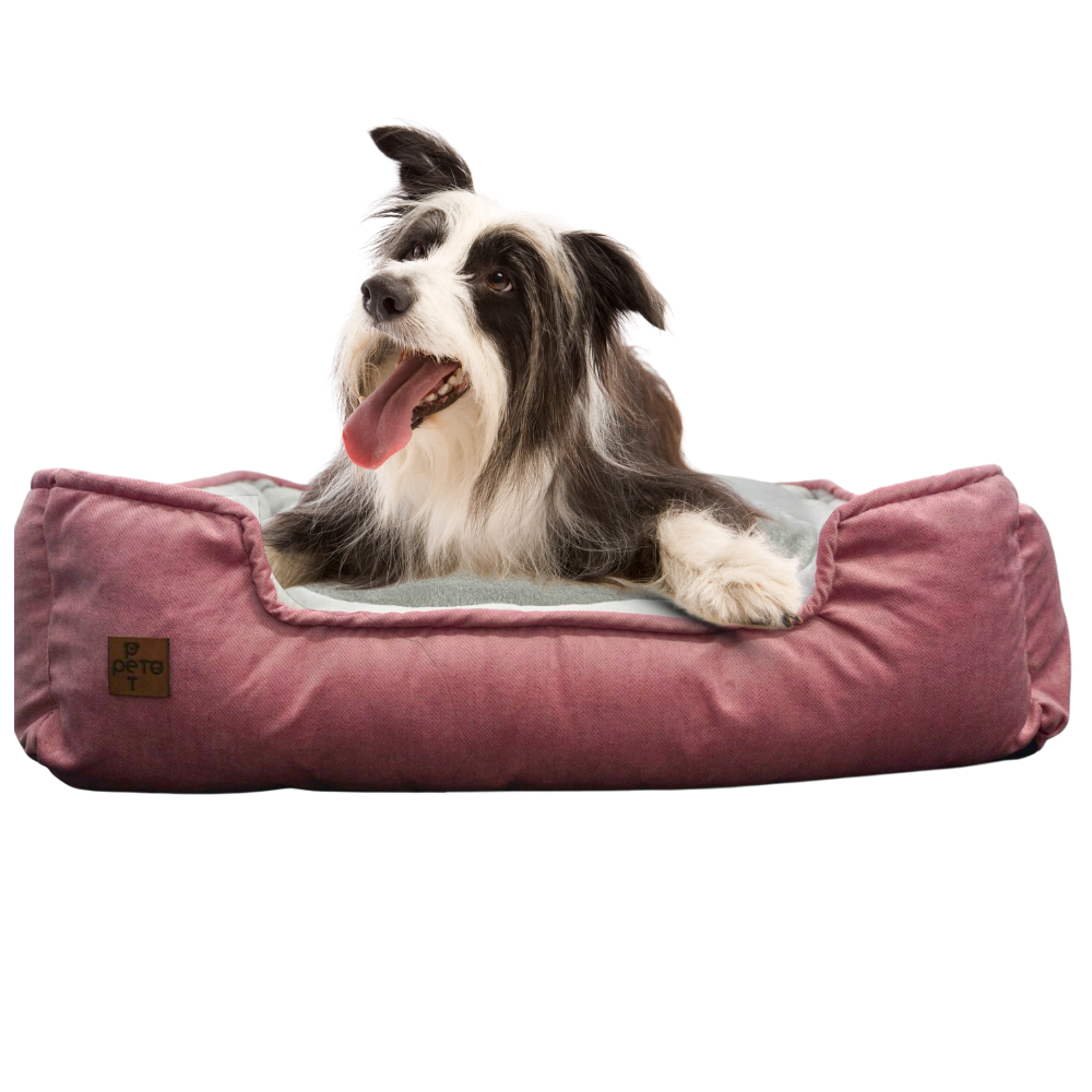 Cama de Lujo Anti Rasguños Para Mascotas – Peto Pet