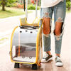 Image of Morral Transparente Con Ruedas