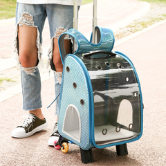 Morral Transparente Con Ruedas