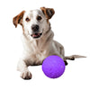 Image of Pelota Perro Maciza Dura Rebota Tipo Kong Para Razas Grandes