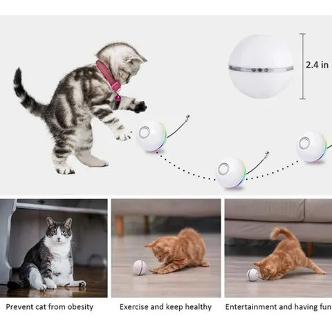 Juguete Gato Bola Interactiva Luz Led Movimiento Carga USB