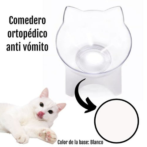 Comedero / Plato Gato Ortopédico Anti Vomito 13cm
